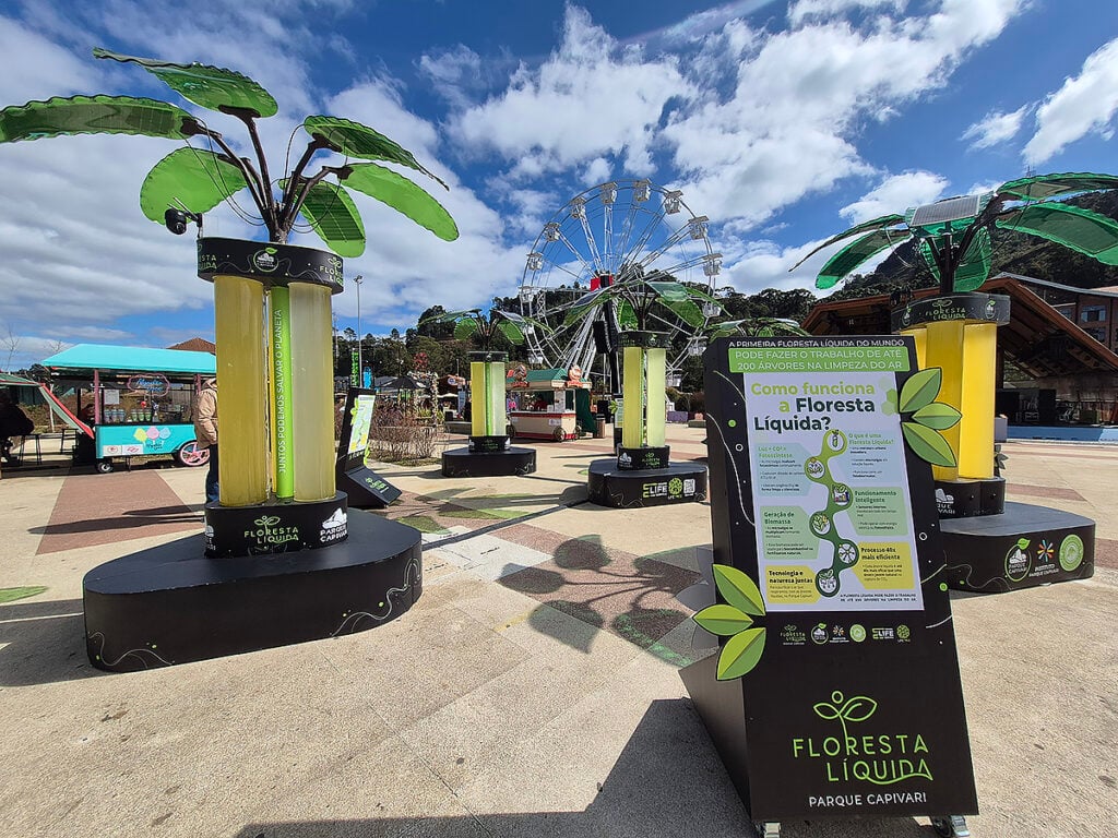 floresta líquida