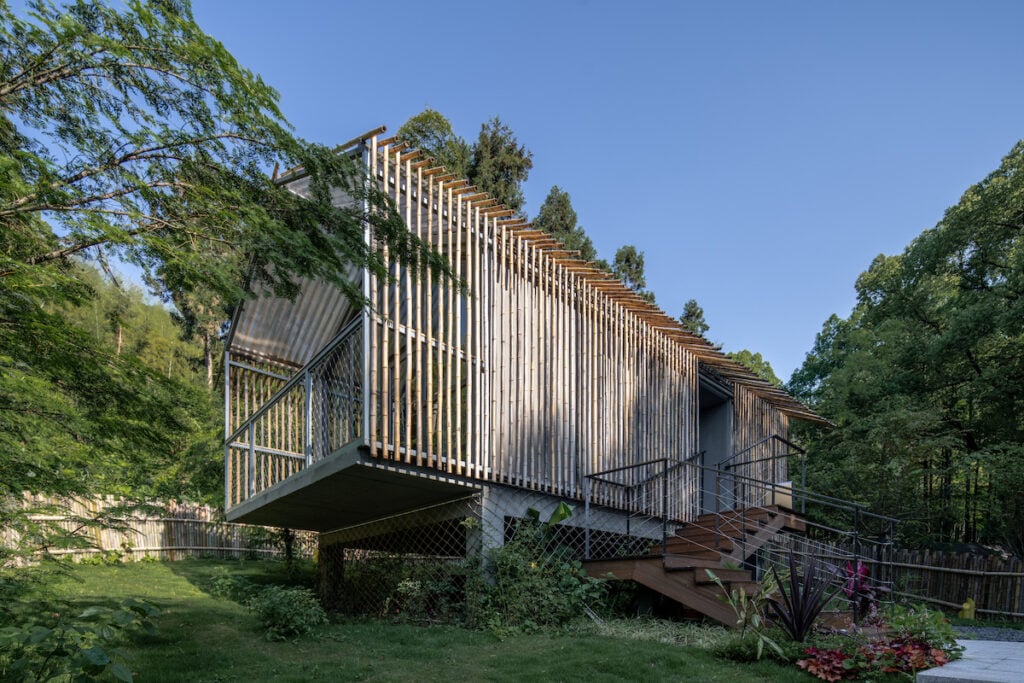 arquitetura bambu