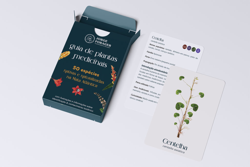 cartas de plantas medicinais