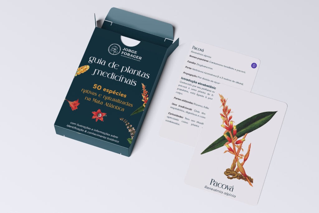 cartas ervas medicinais