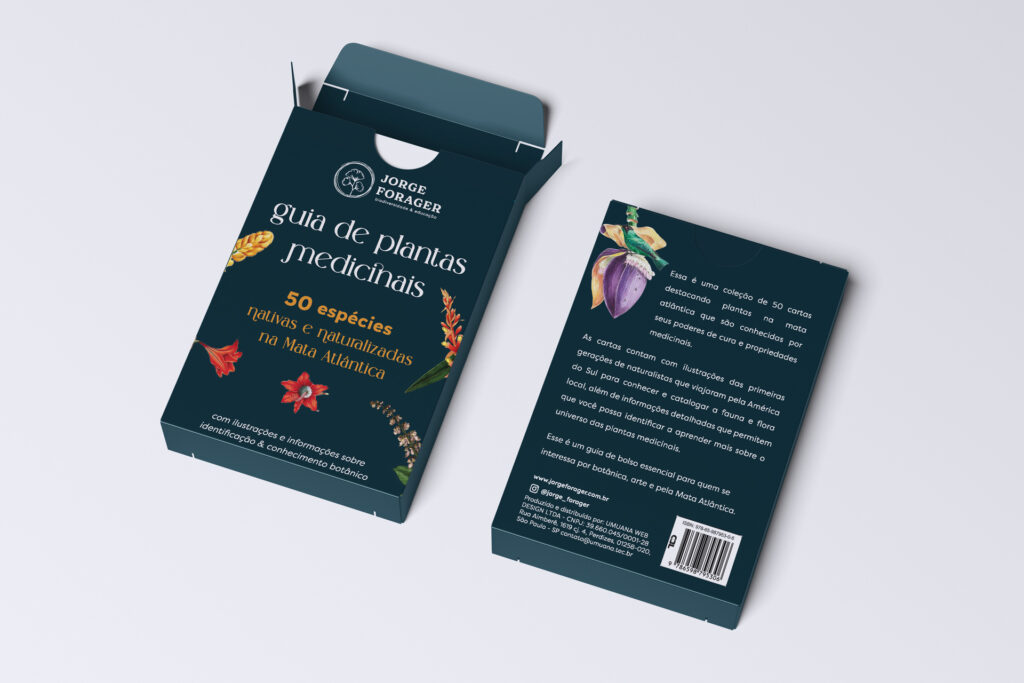 cartas ervas medicinais