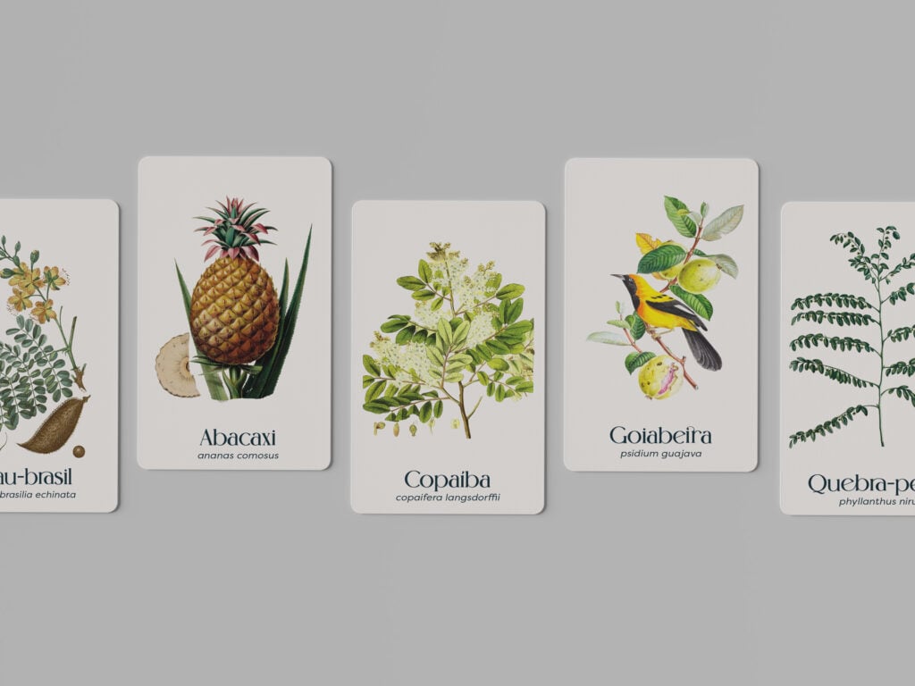 plantas medicinais cartas
