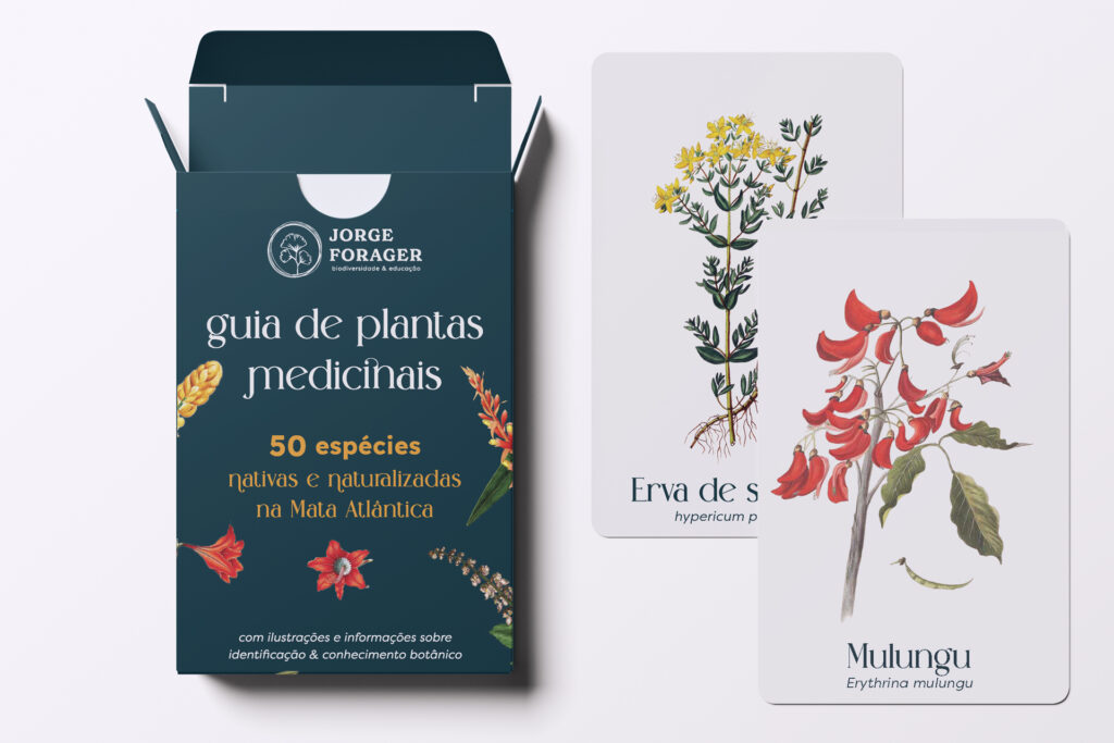 cartas plantas medicinais