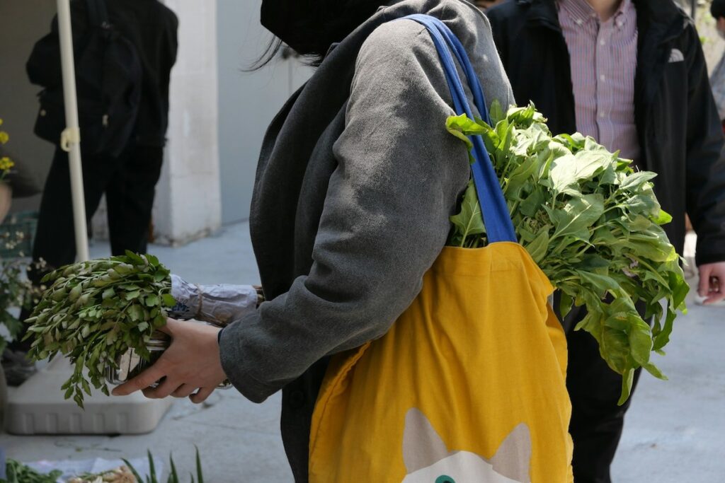 sacolas plásticas Vermont