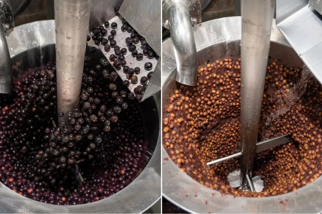 açai e caroço