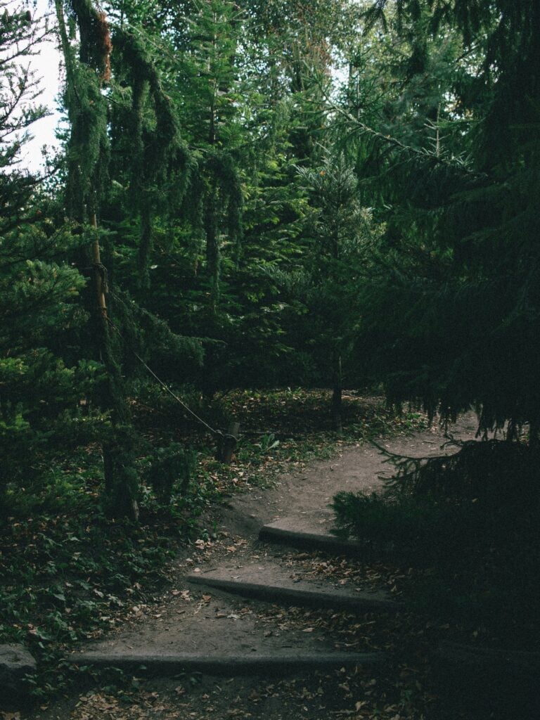 caminhadas
