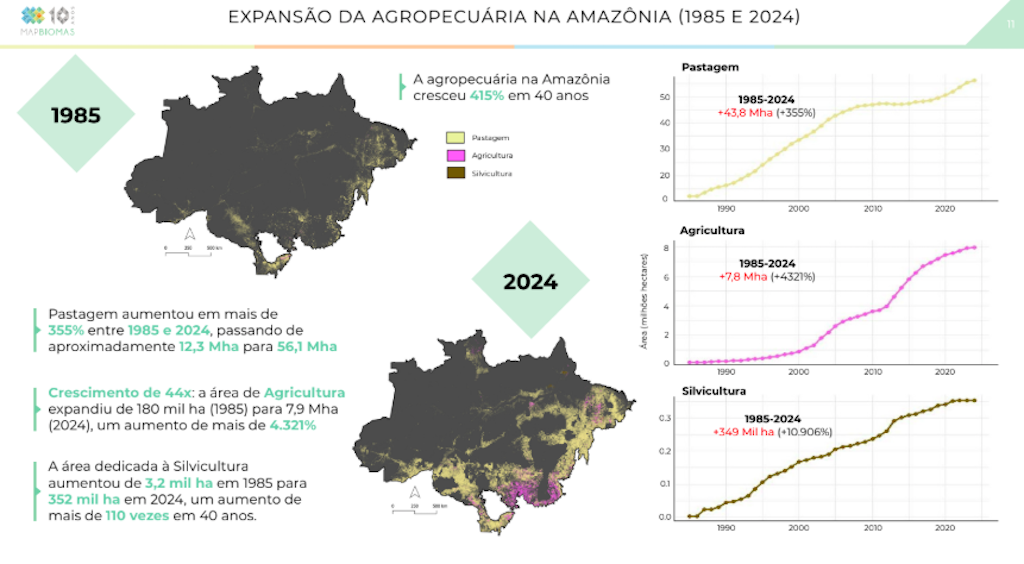 ponto de não retorno Amazônia