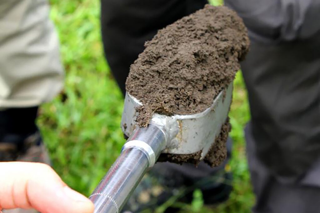 Biochar
