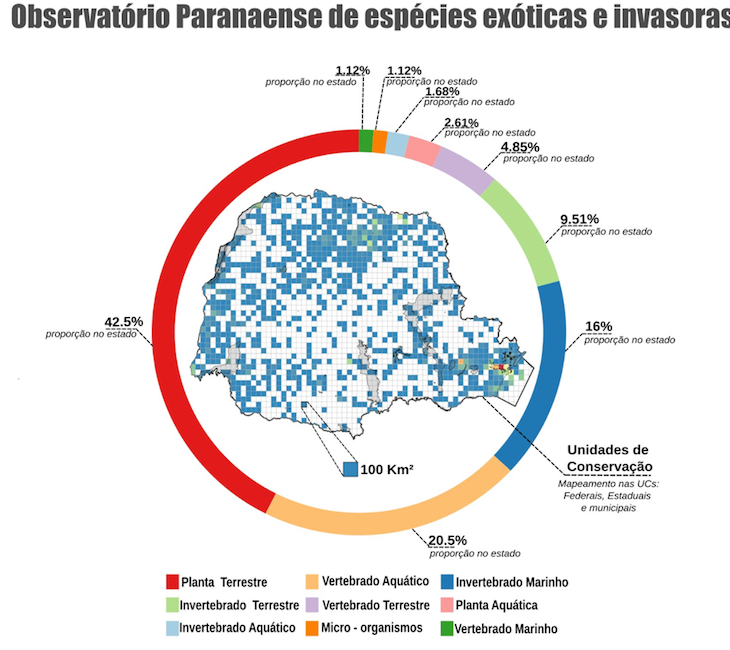 mapa napi
