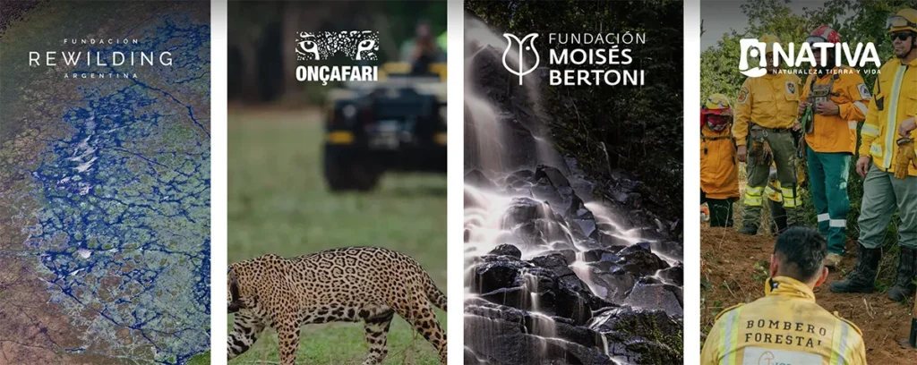 corredor de vida selvagem na América do Sul