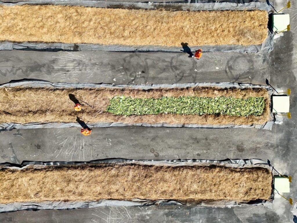 visto do alto patio de compostagem