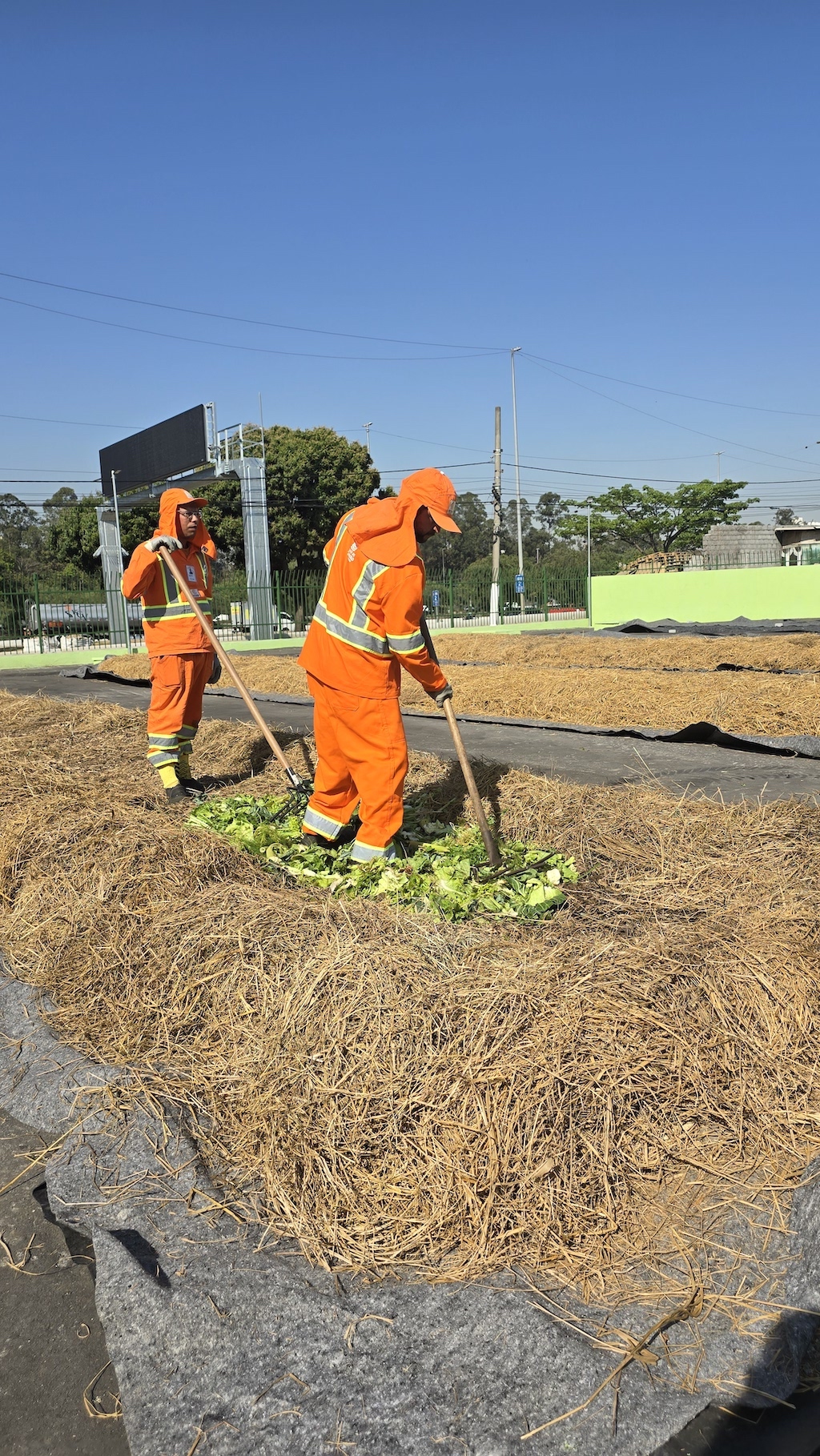 homens trabalhando em pátio de compostagem