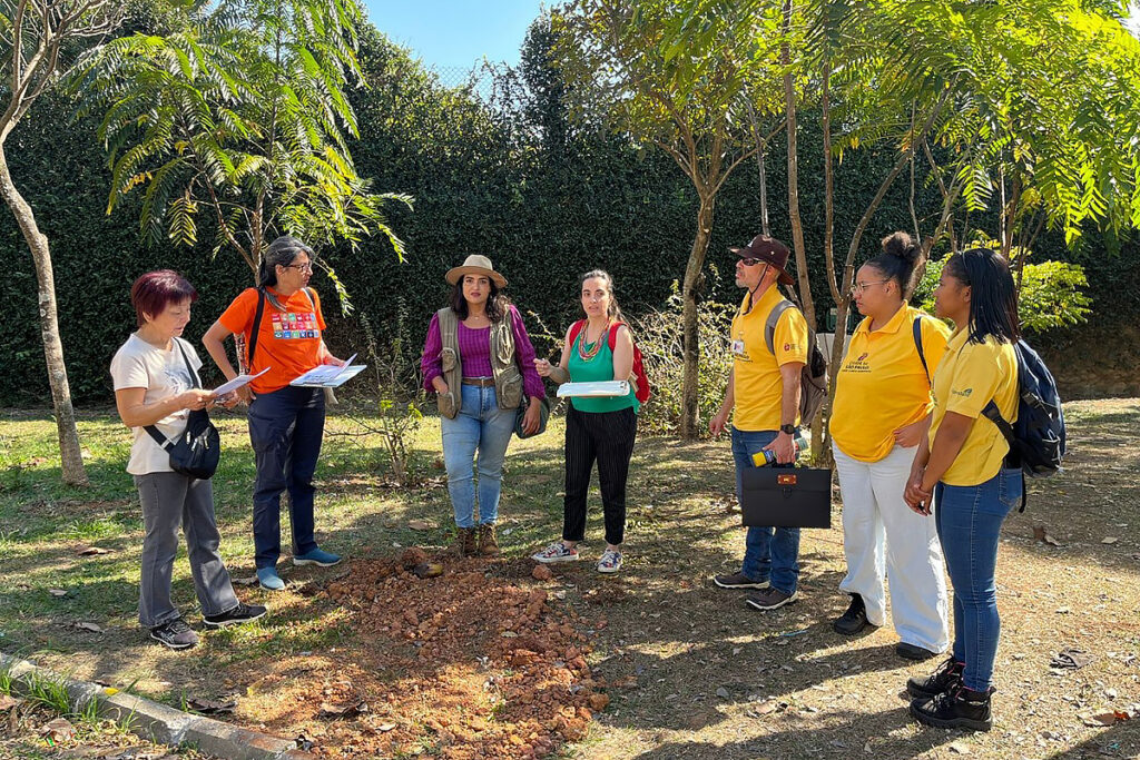 plantio global em São Paulo