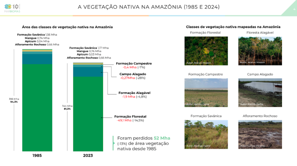 ponto de não retorno Amazônia