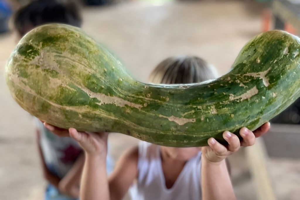 agricultura biodinâmica