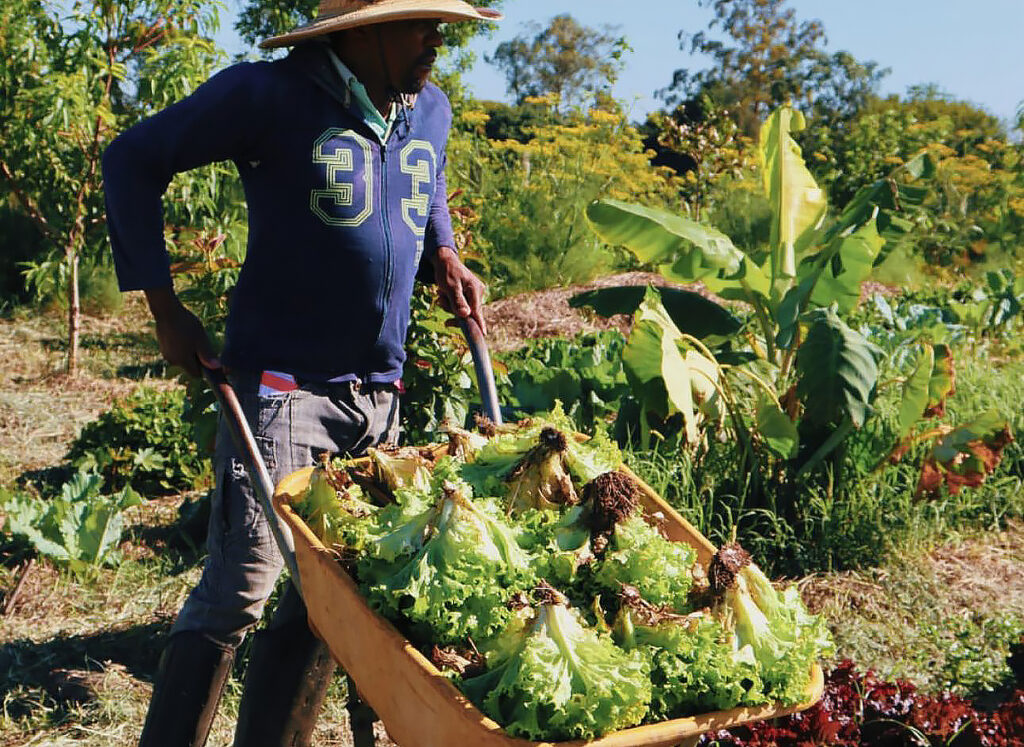 agricultura biodinâmica