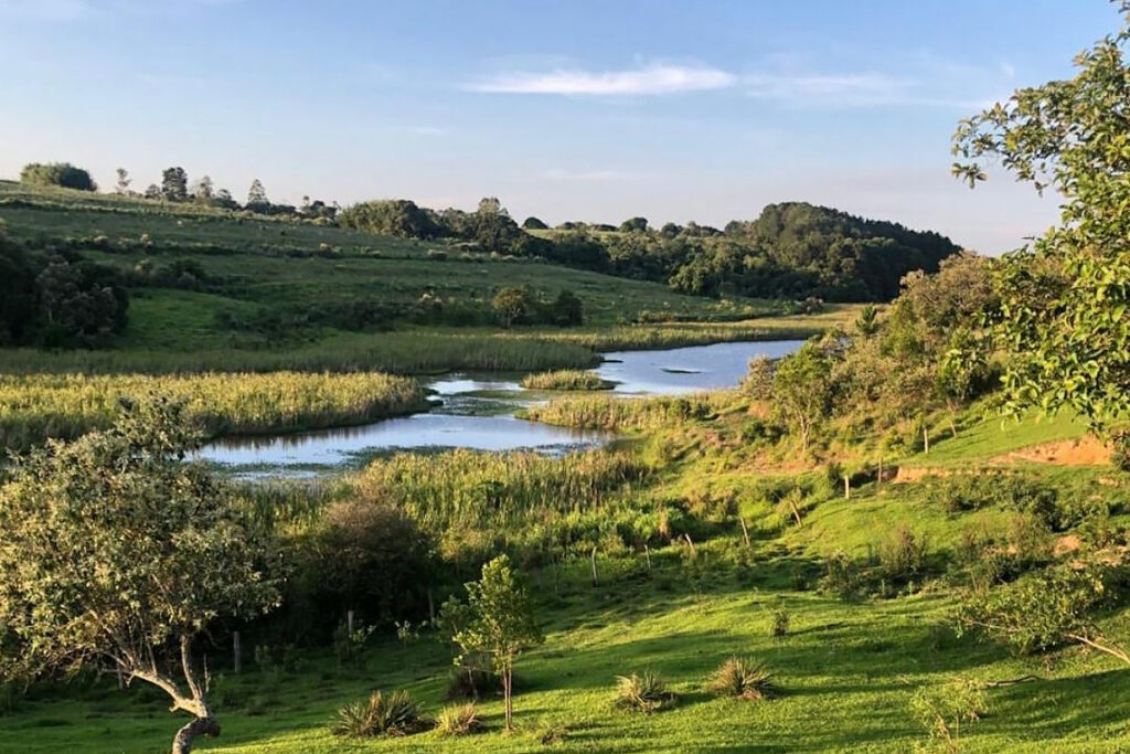 Lotes Vila Terra Biodinâmica