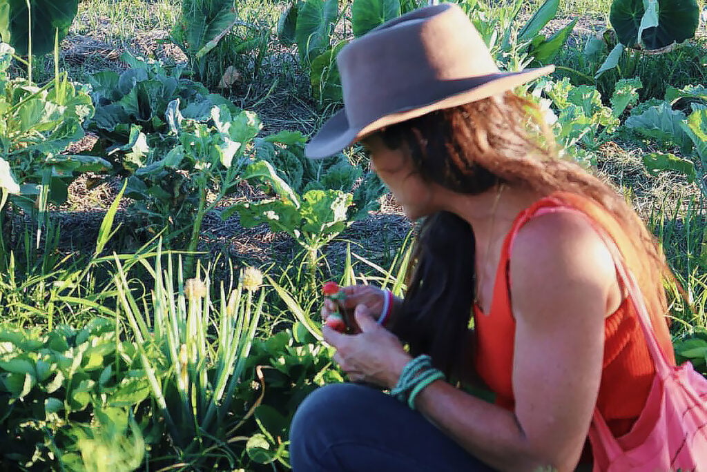 agricultura biodinâmica