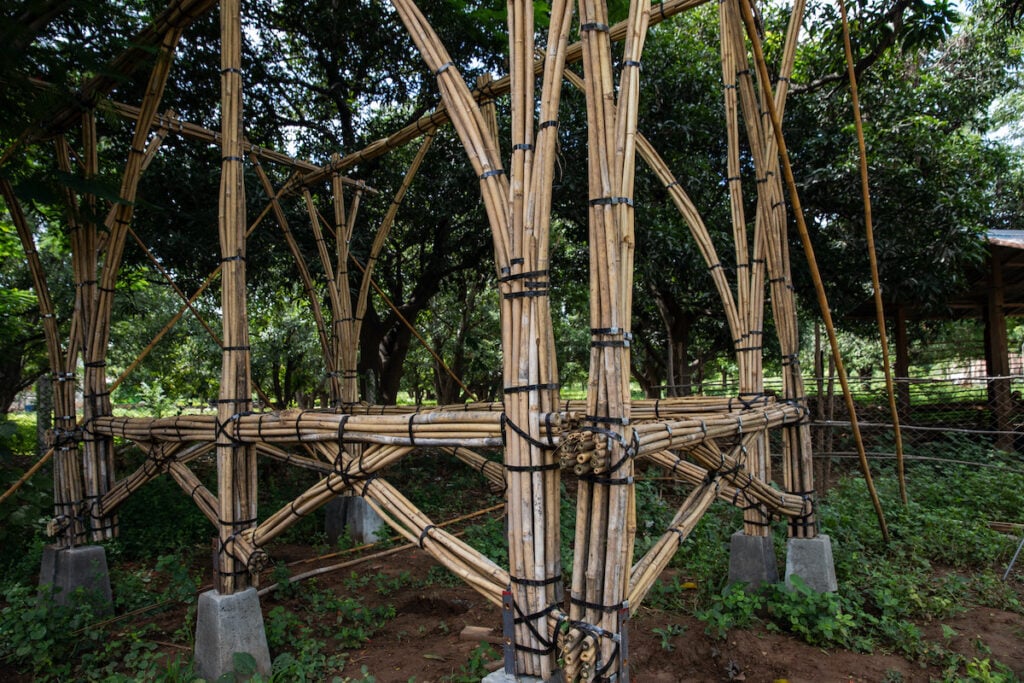 bambu material construtivo