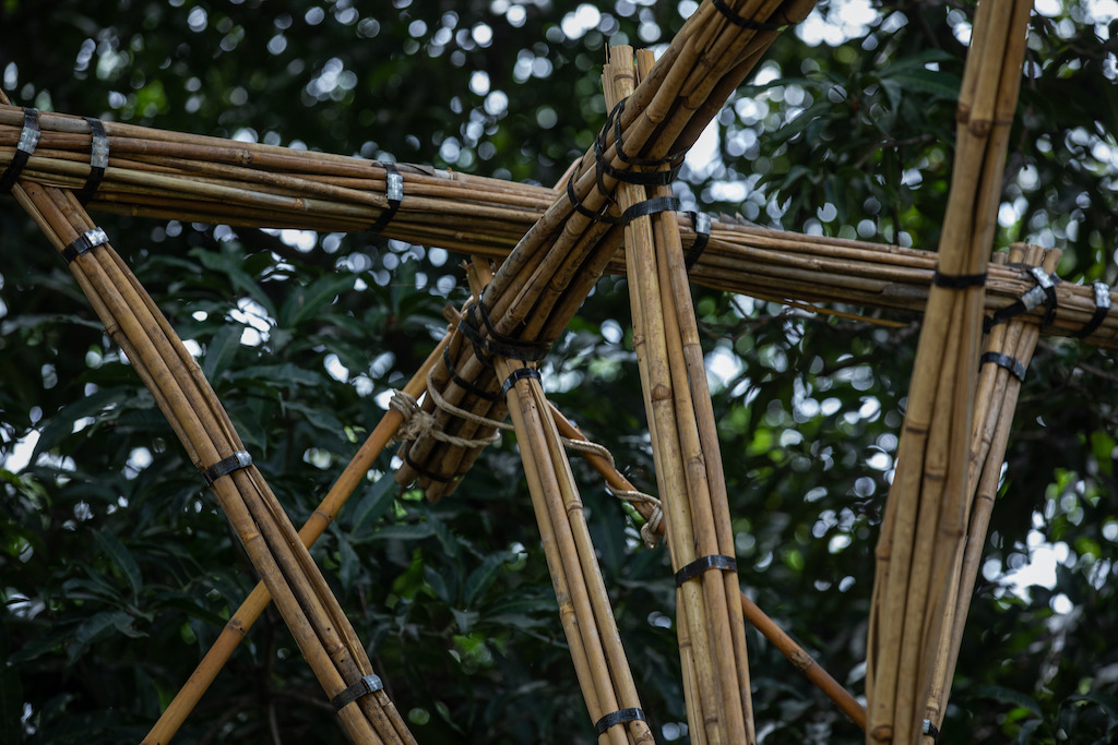 construir com bambu