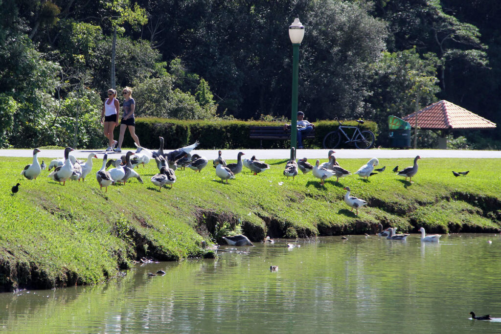 Plataforma Natureza ON