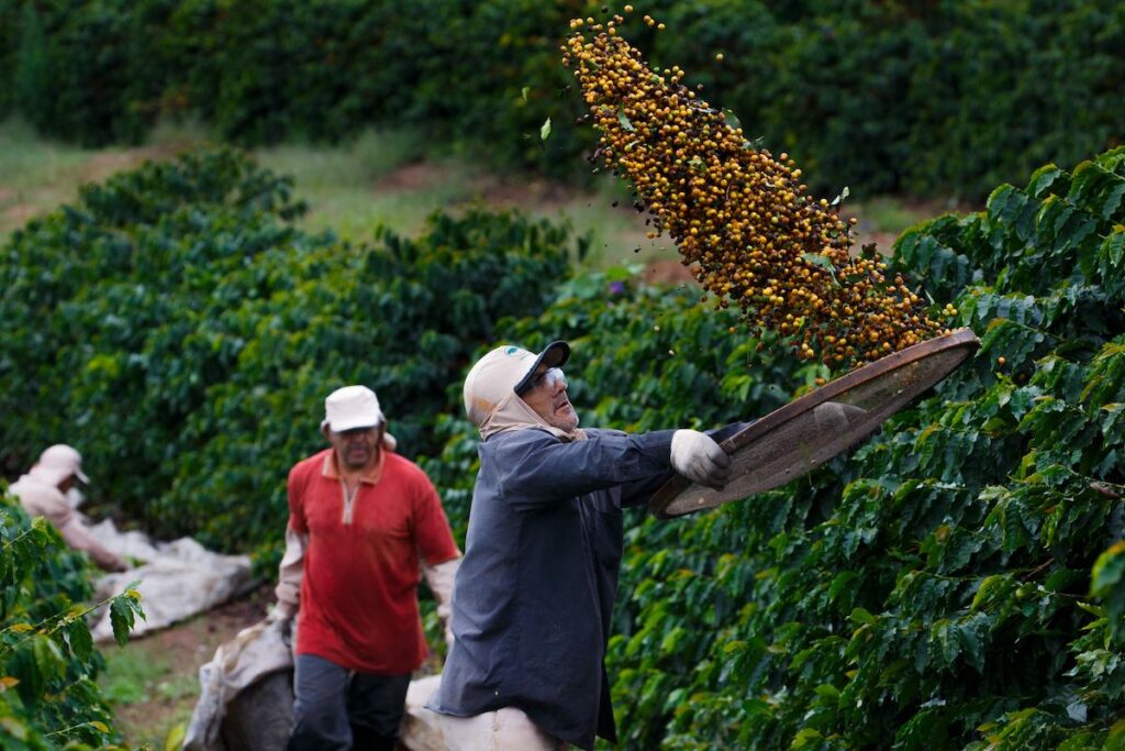 Orfeu agricultura regenerativa