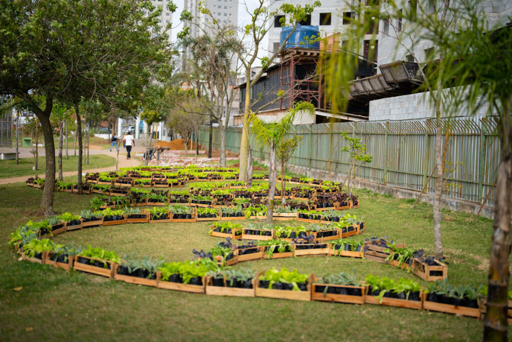 Jardins Comestíveis