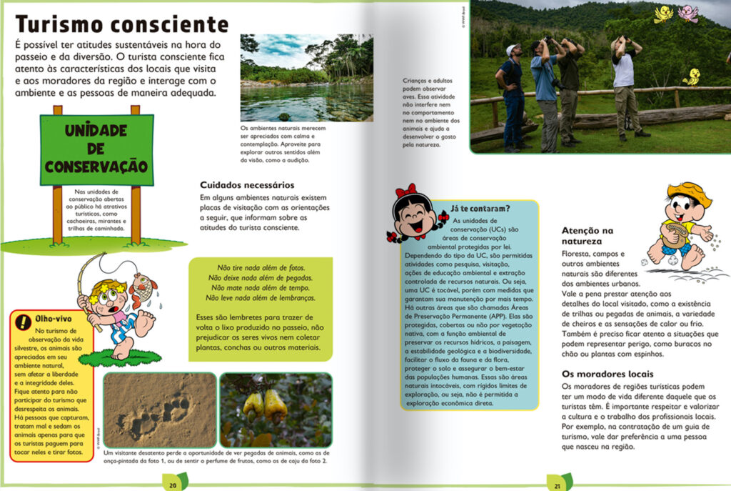 livro chico bento