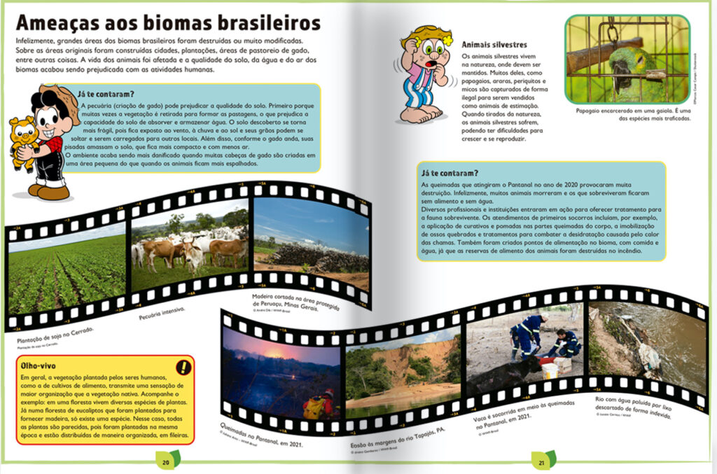 por dentro livro Chico Bento