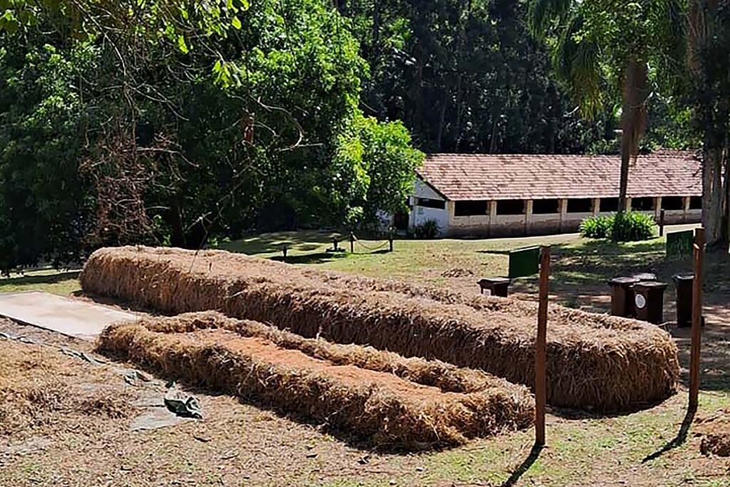 leiras de compostagem