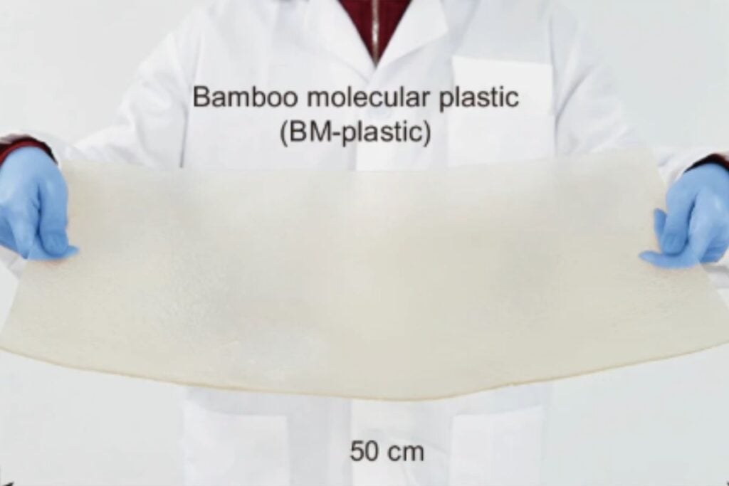plastico de bambu