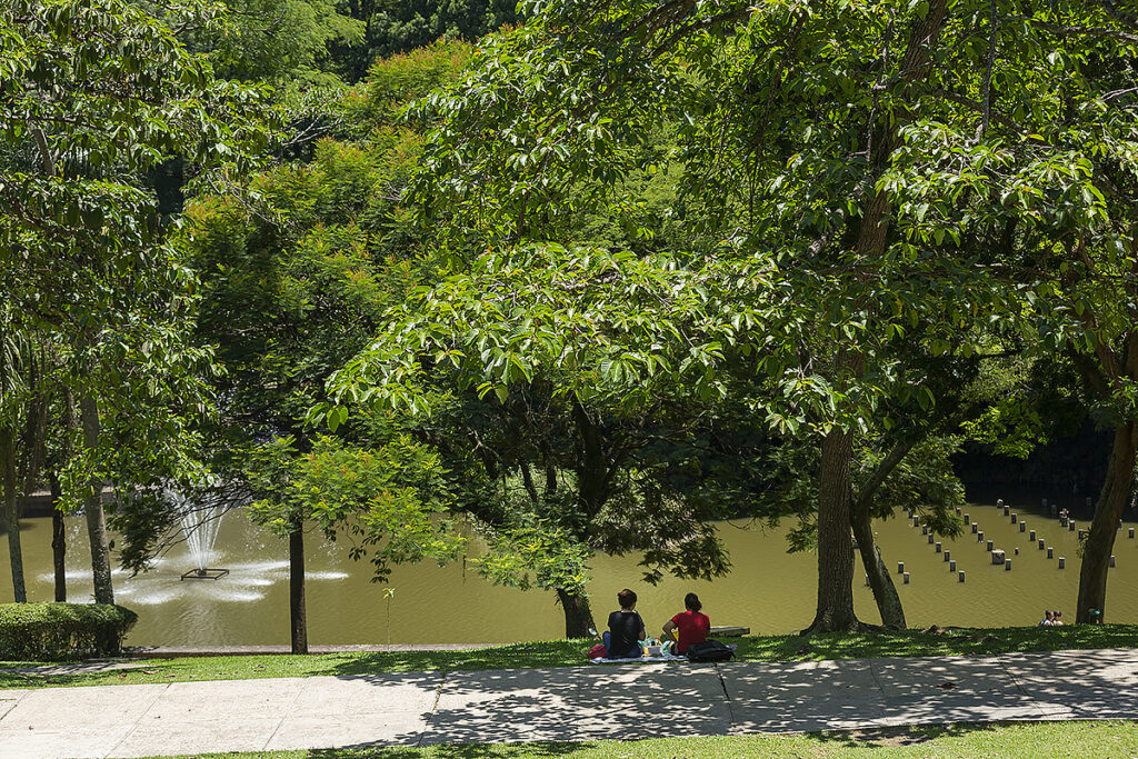lago no Sesc Interlagos
