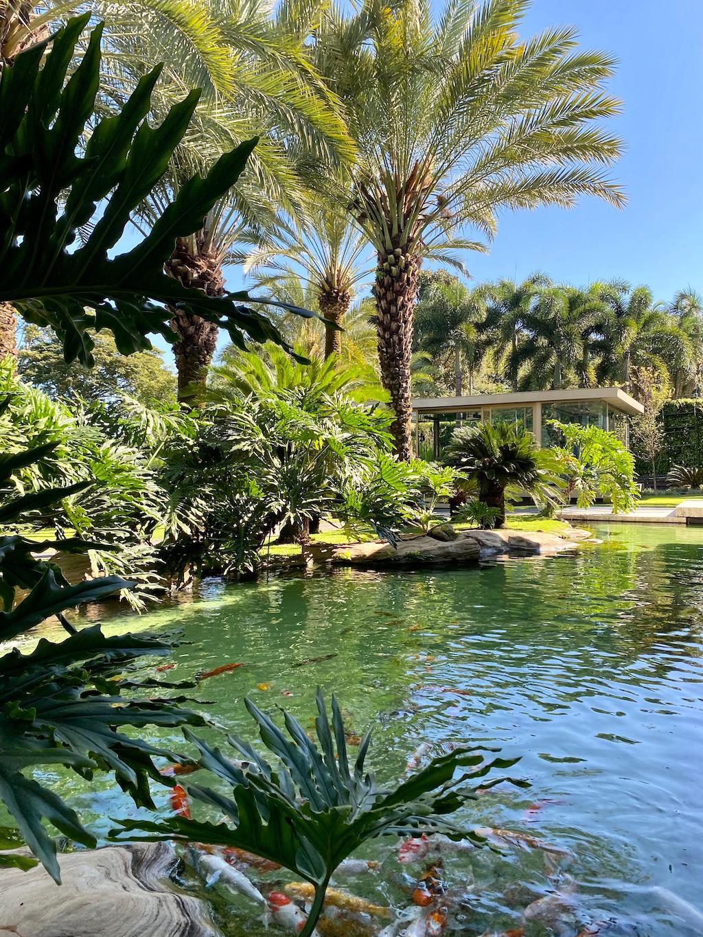 piscina biologica