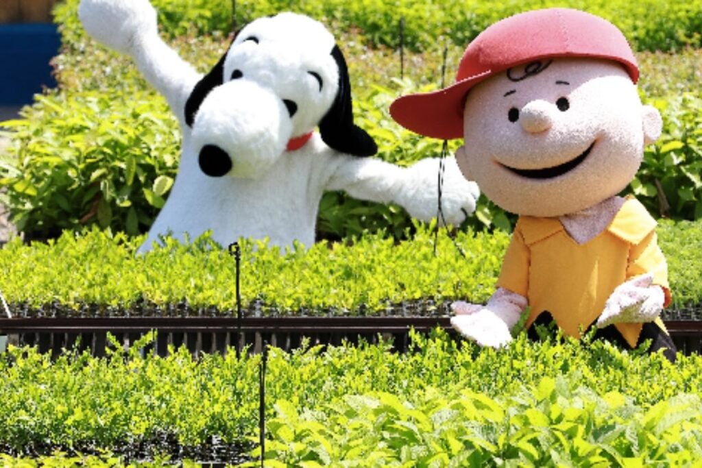 Snoopy SOS Mata Atlântica