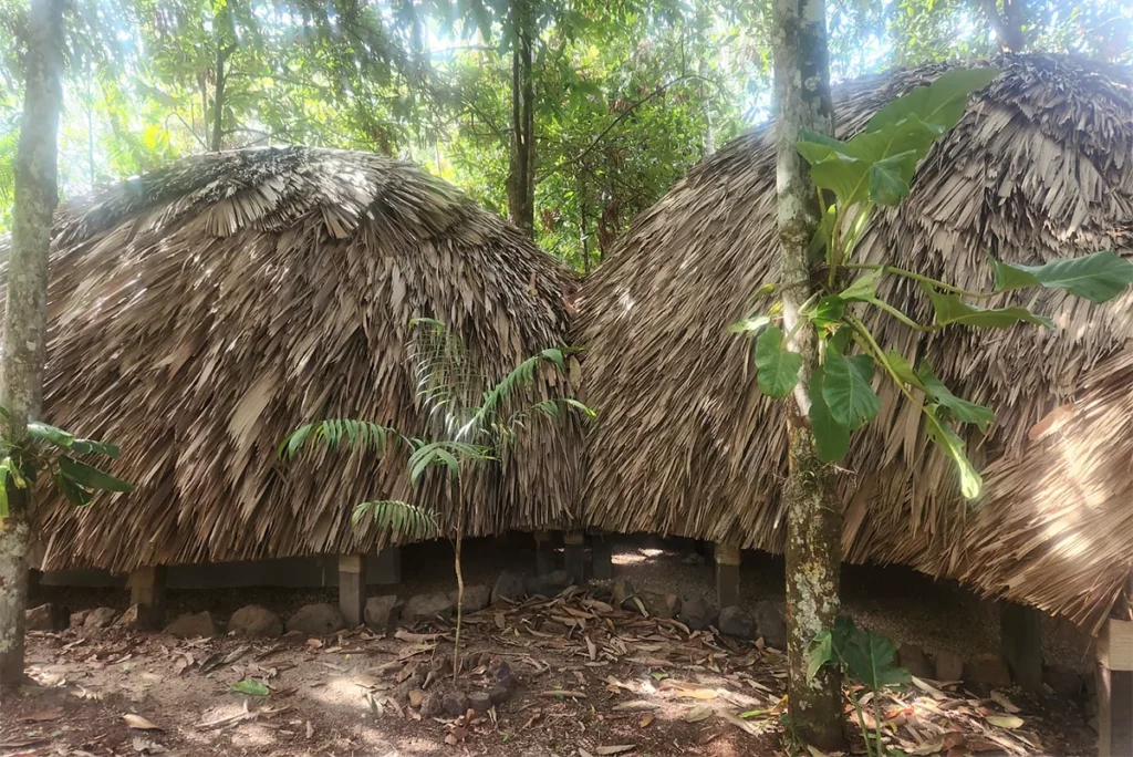 Casa da Floresta