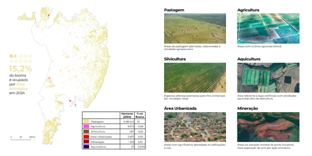 Pantanal