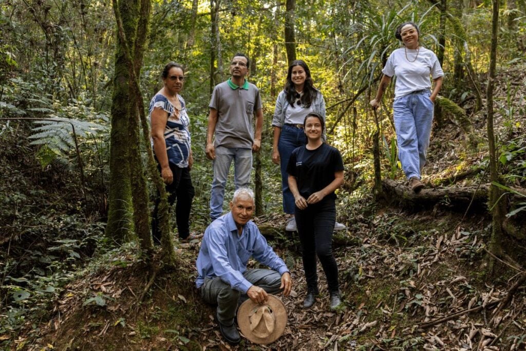 pecuária agroflorestas