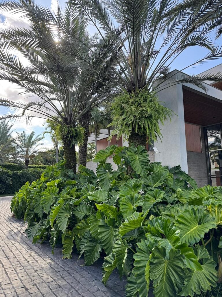 jardim bonito