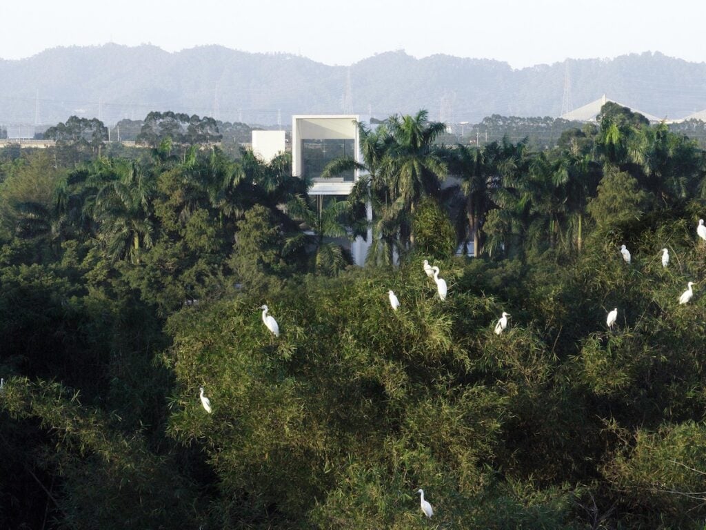 Museu da Zona Úmida