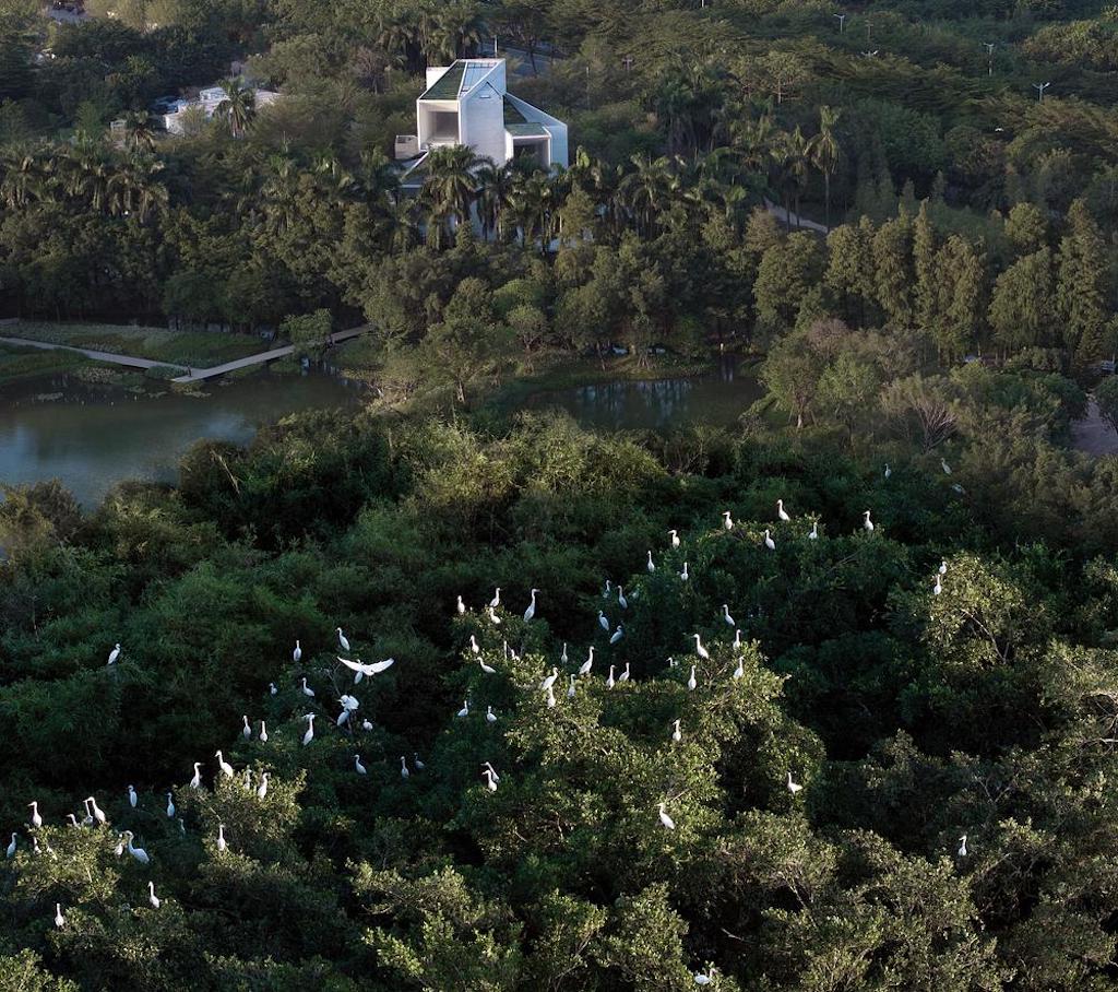 Shunde Yunlu Wetland Museum