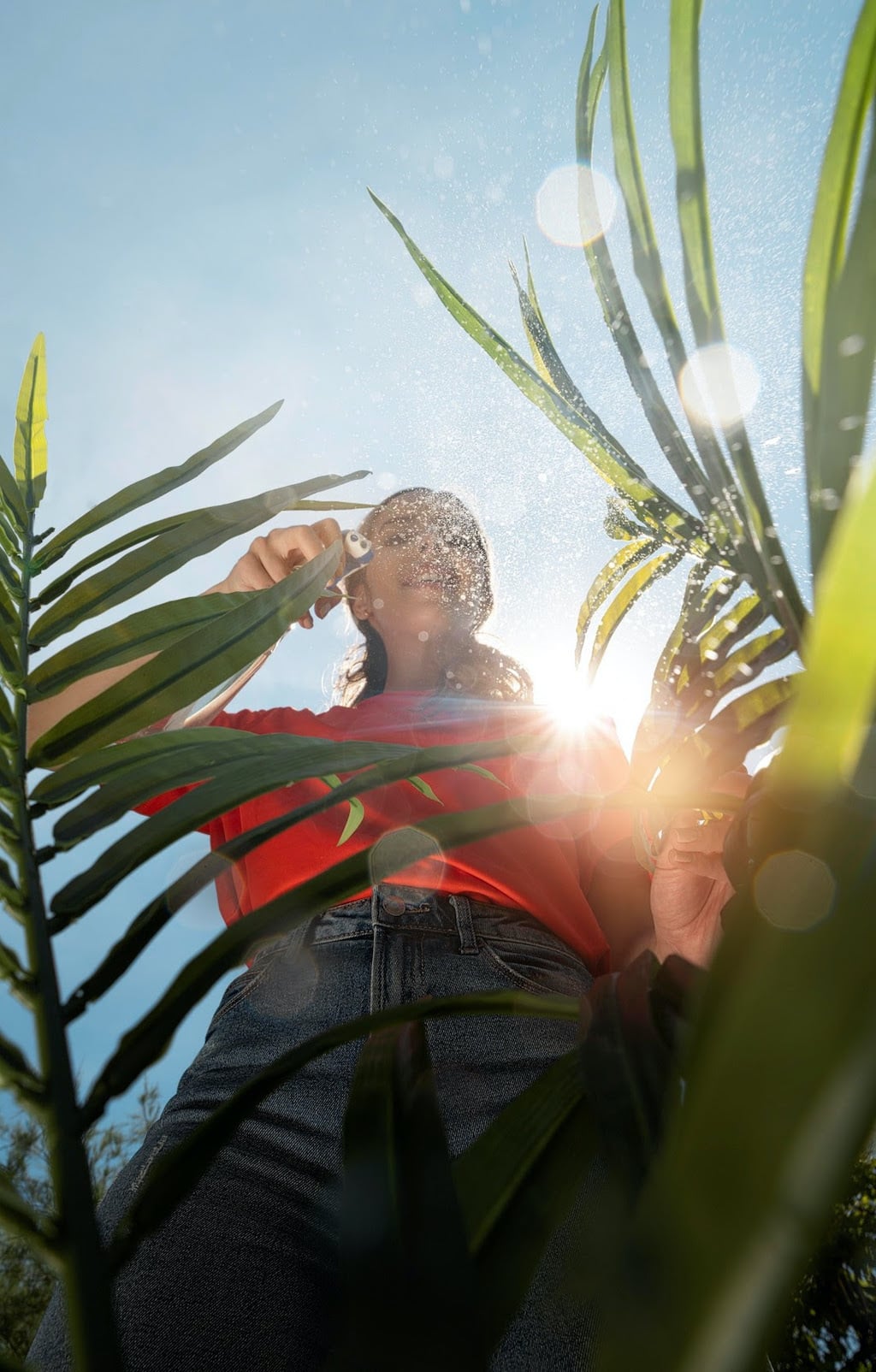 rega de plantas