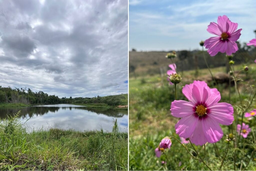 Vila Terra Biodinâmica