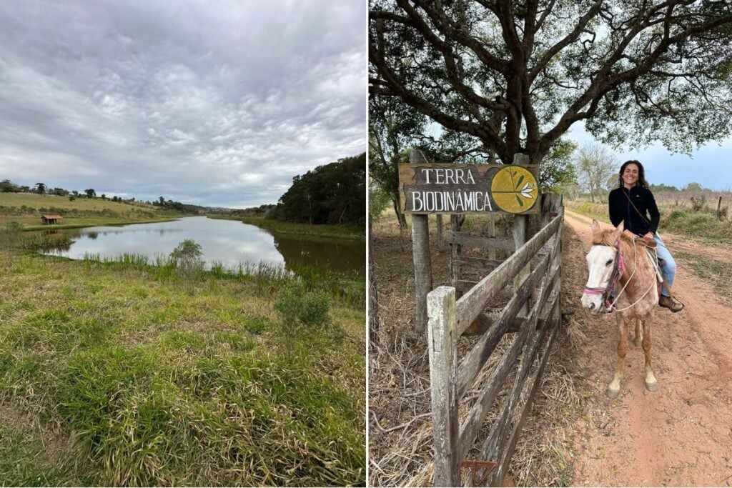 Vila Terra Biodinâmica