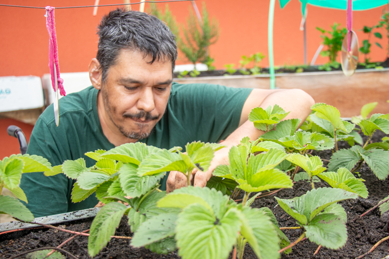 Horta Comunitária CRAS