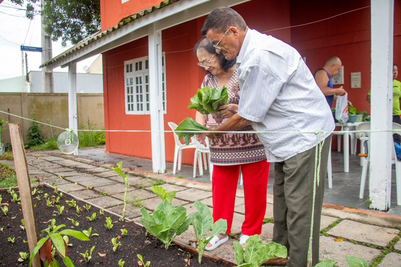 Horta Comunitária CRAS