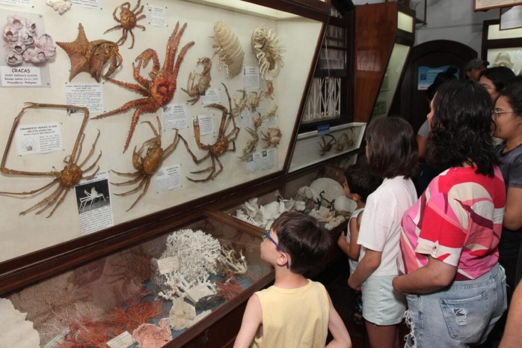 Museu Santos