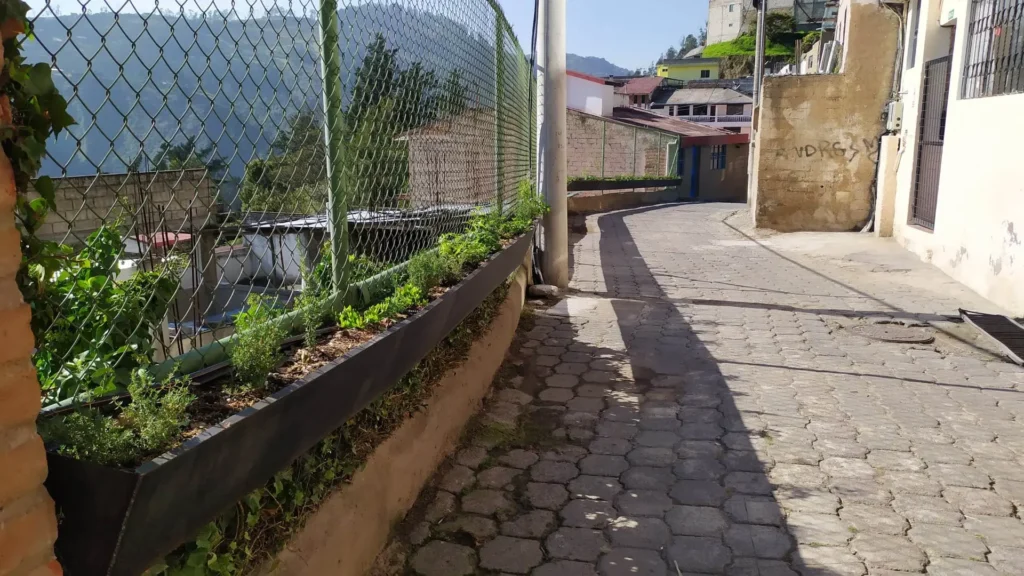 Beco sustentável