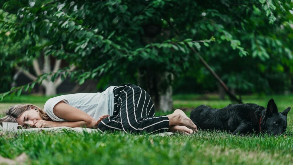 cachorro dog yoga