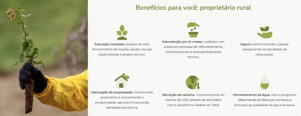benefícios do projeto plantar água