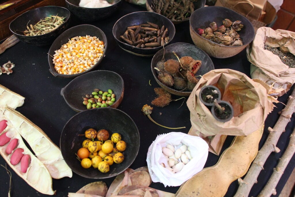 Mostra Agroecológica
